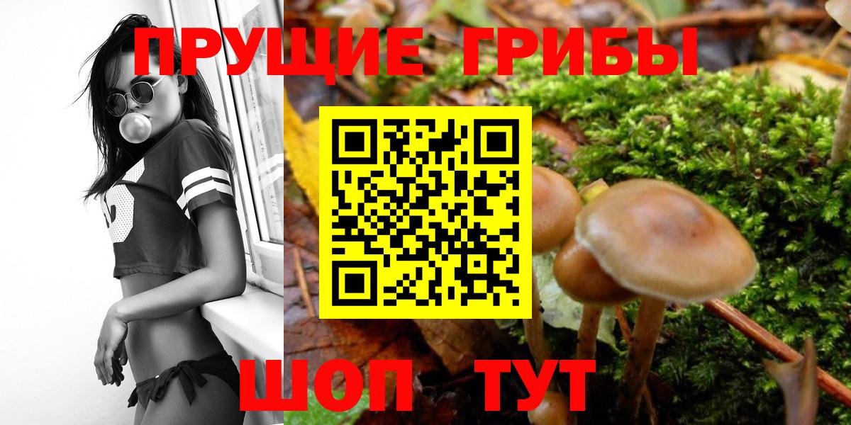 А ПВП СОЛЬ   Вход с VPN  Красноуфимск  ГАШИШ  МАРИХУАНА  Меф МЯУ МЯУ кристаллы 