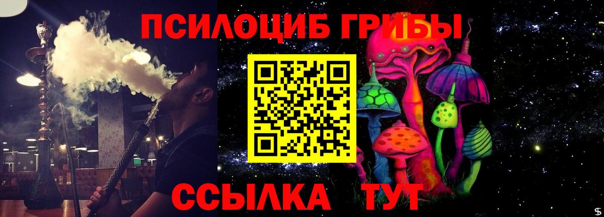 Красноуфимск  Галлюциногенные грибы прущие грибы  Псилоцибиновые грибы прущие грибы  Вход с VPN 